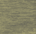 CP OLIVE