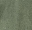 MW OLIVE